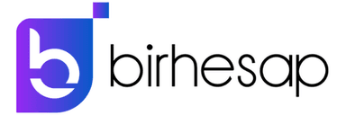 Bir Hesap logo
