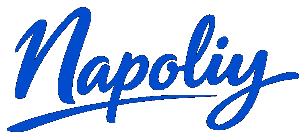 Napoliy logo